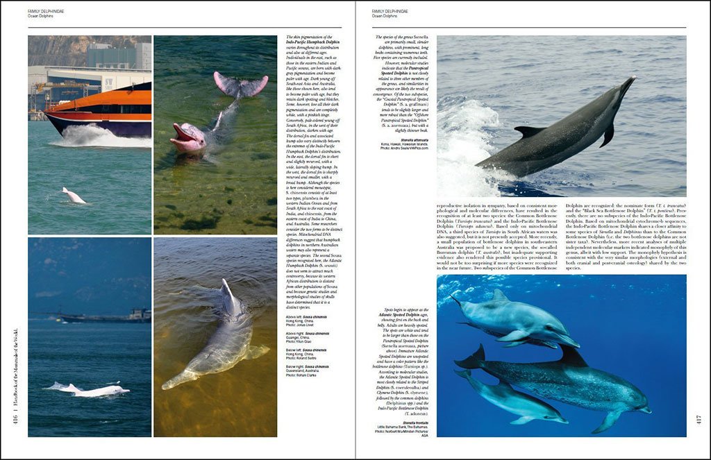 handbook of the mammals of the world. vol. 4 sea mammals