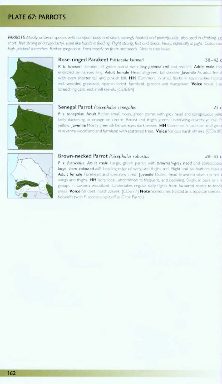 helm field guides. birds of senegal and the gambia