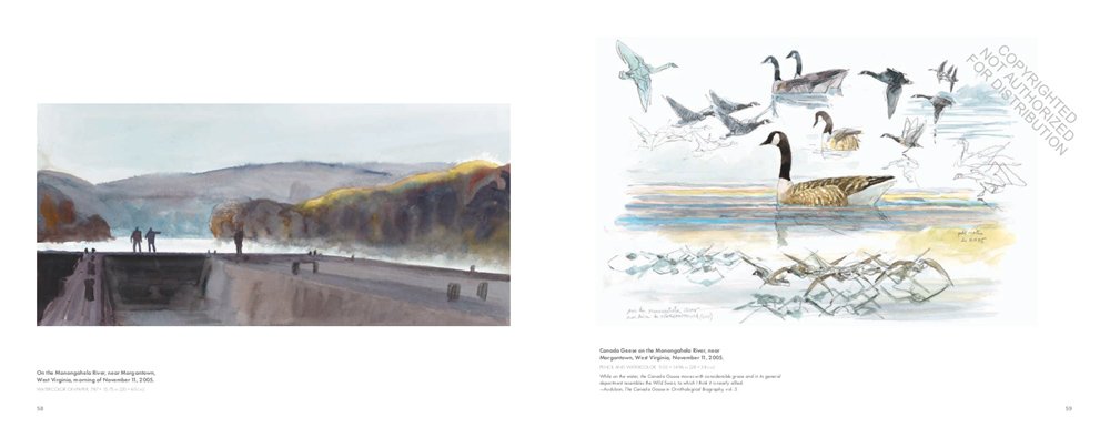in the footsteps of audubon