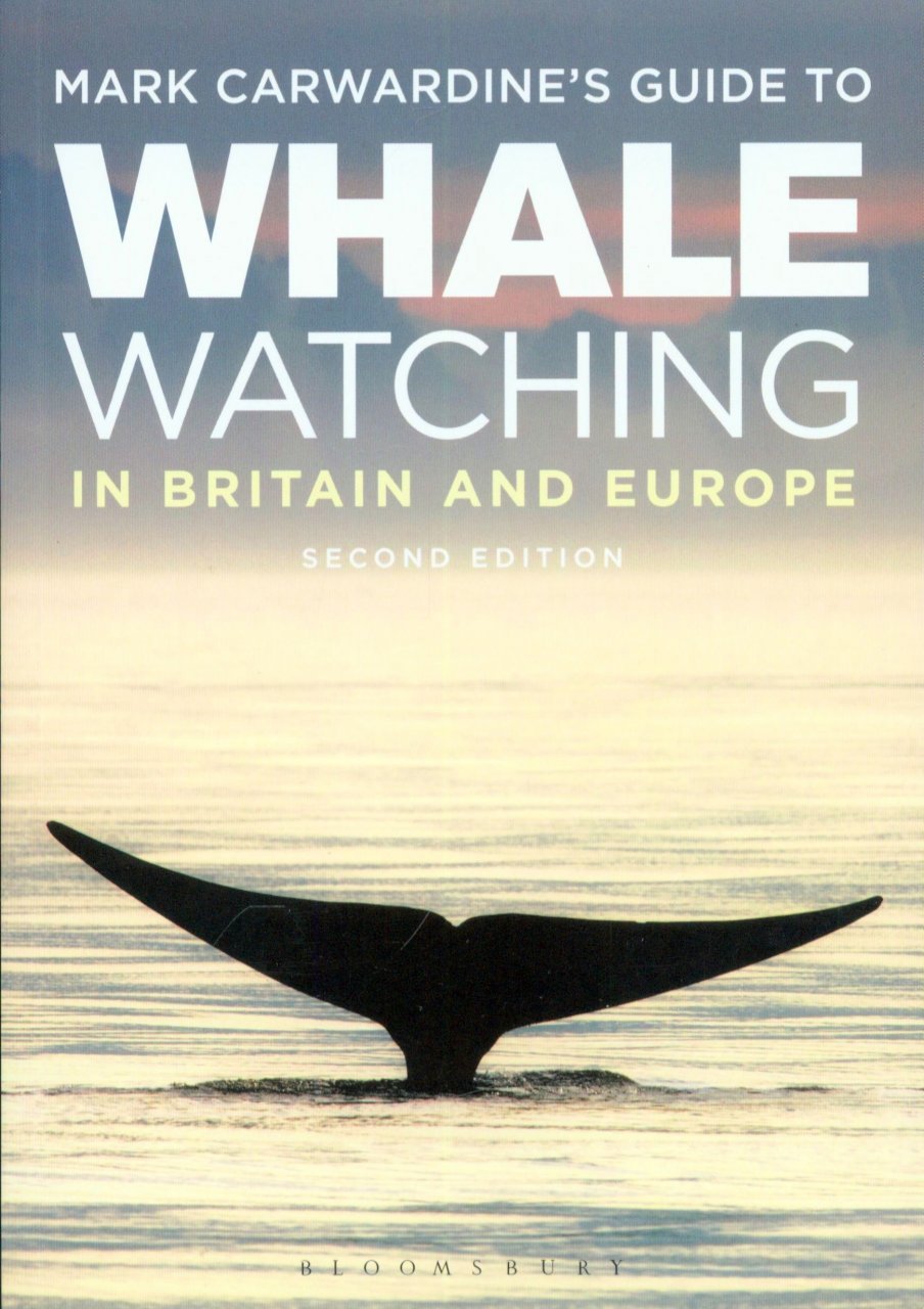 mark carwardine's guide to whale watching in britain and europe