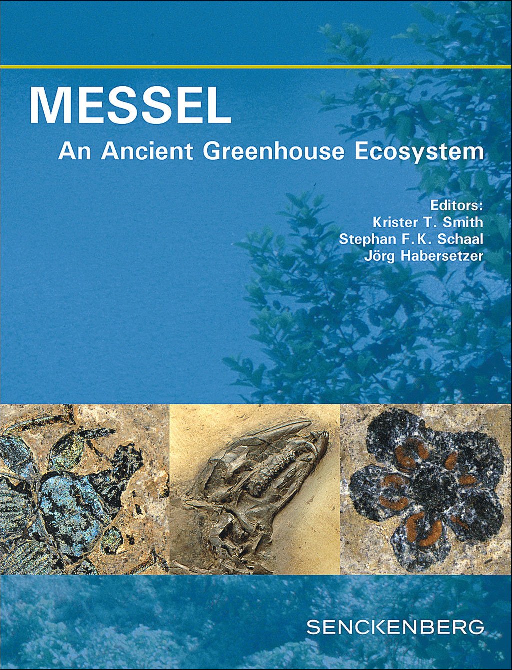 messel: an ancient greenhouse ecosystem