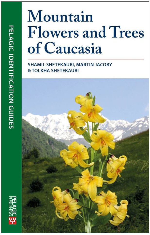 mountain flowers and trees of caucasia