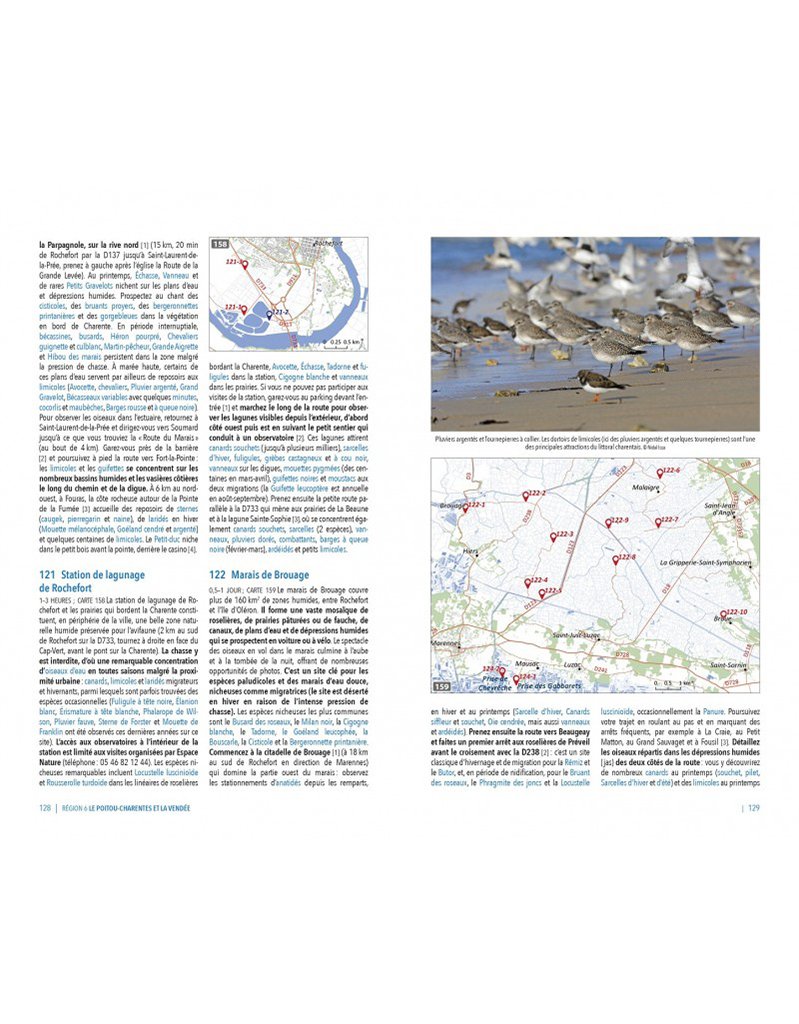 observer les oiseaux en france