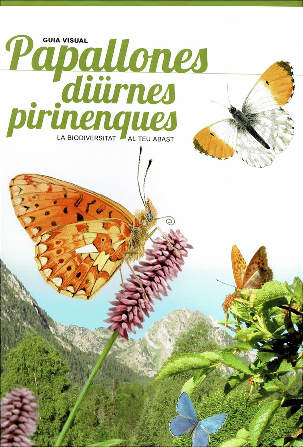 pirinencs. 6 guies visuals de flora i fauna