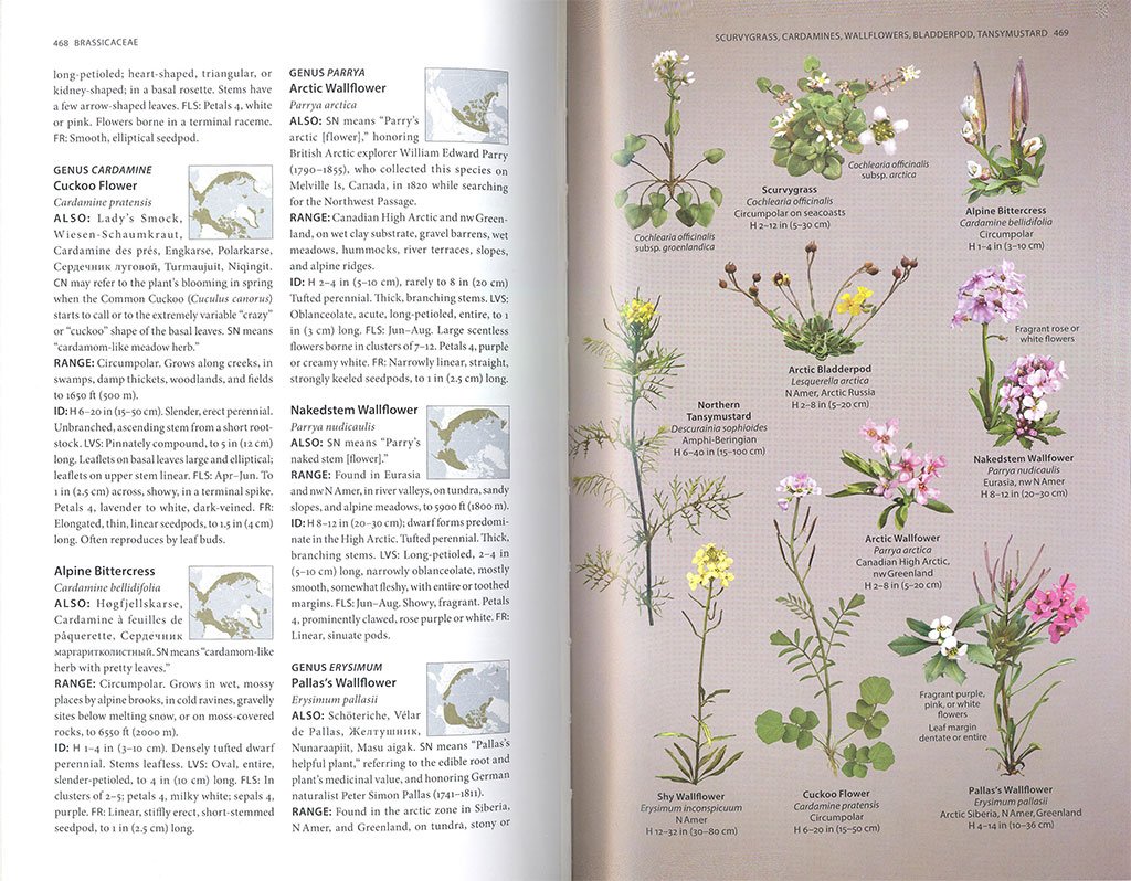 the arctic guide. wildlife of the far north