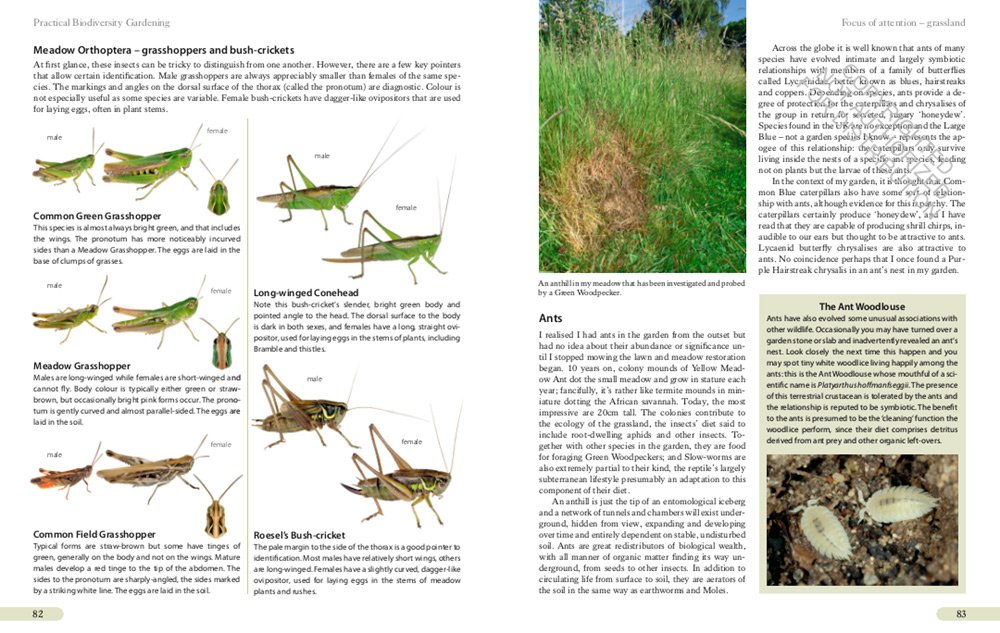 the biodiversity gardener. establishing a legacy for the natural world