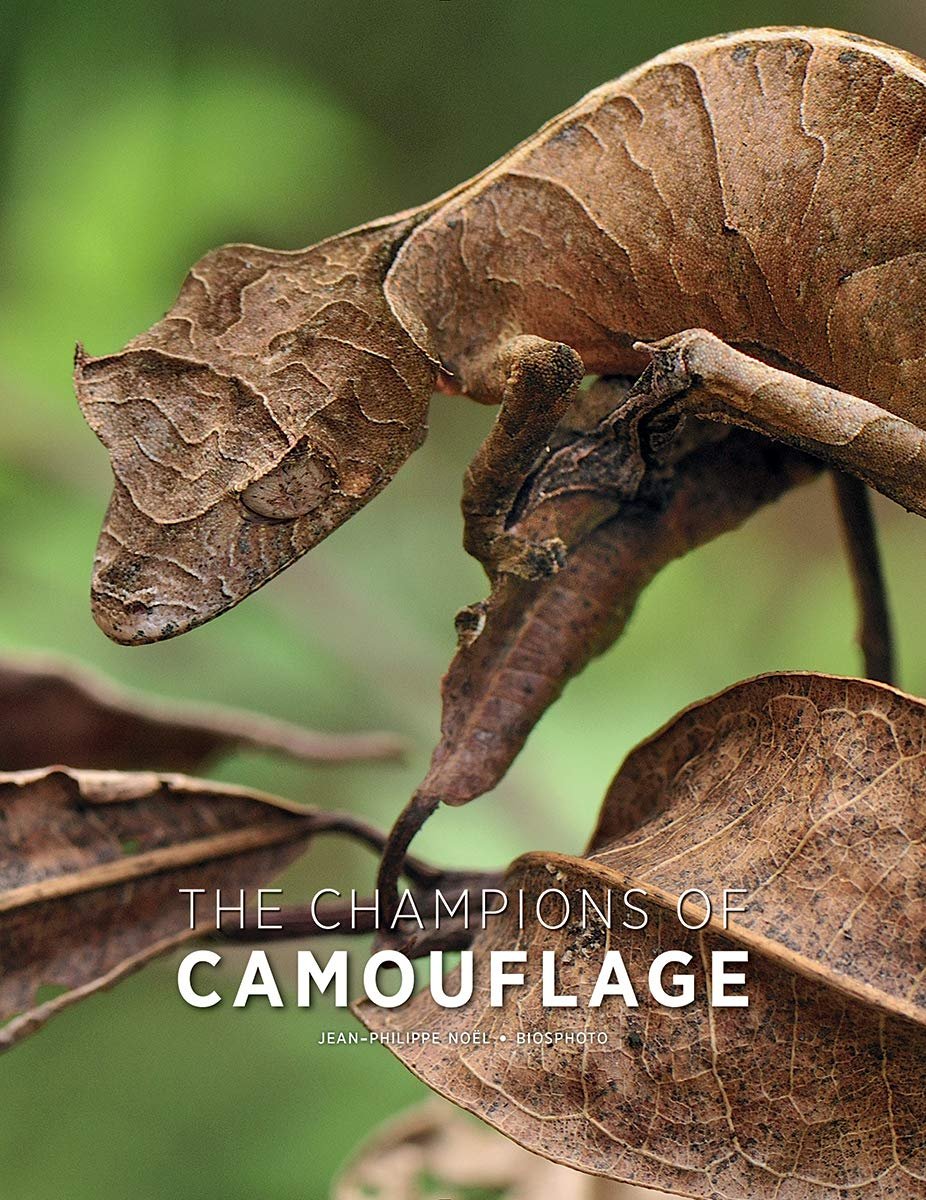 the champions of the camouflage