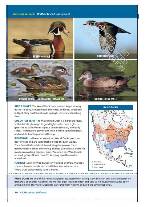 the cornell lab of ornithology. regional field guide series. all about birds california