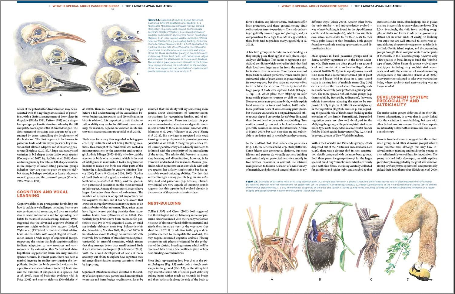 the largest avian radiation. the evolution of perching birds, or the order passeriformes