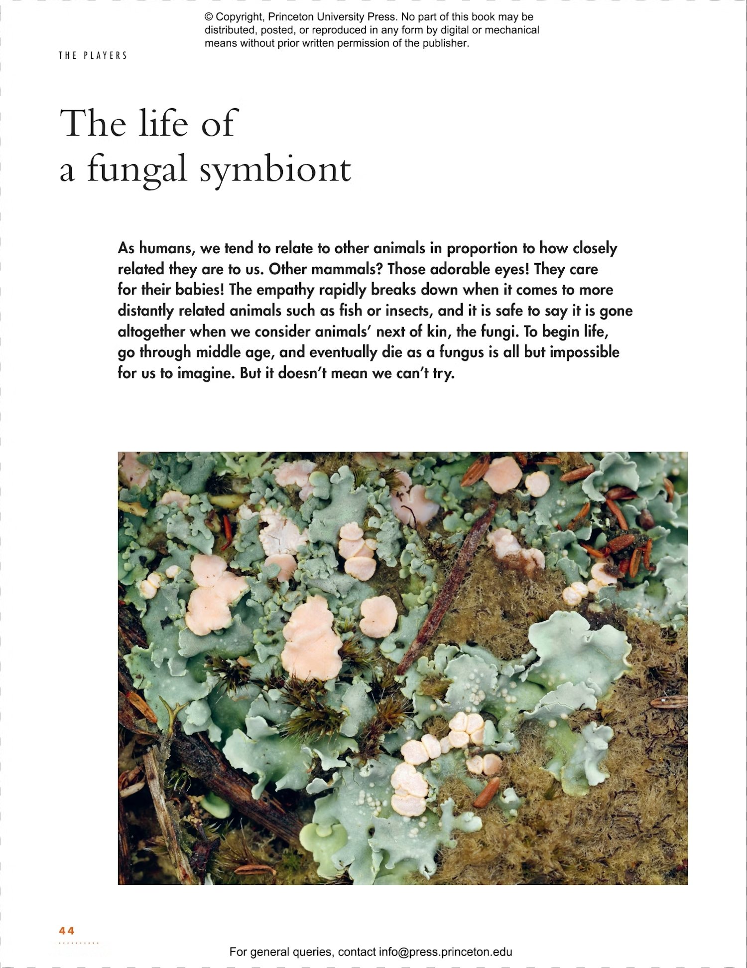the lives of lichens: a natural history