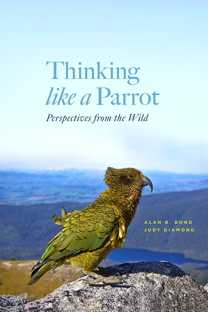 thinking like a parrot