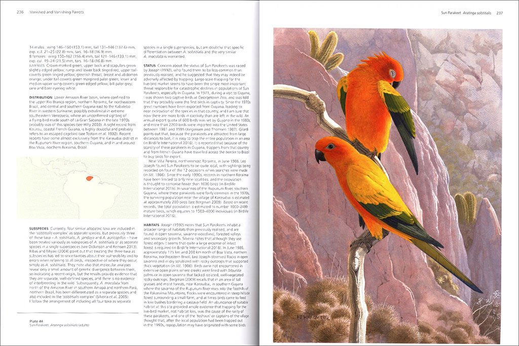 vanished and vanishing parrots. profiling extinct and endangered species