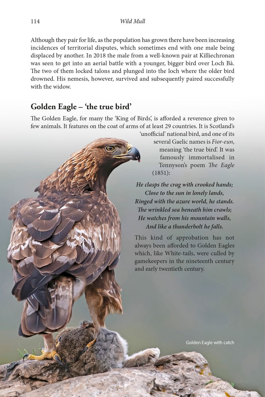 wild mull. a natural history of the island and its people