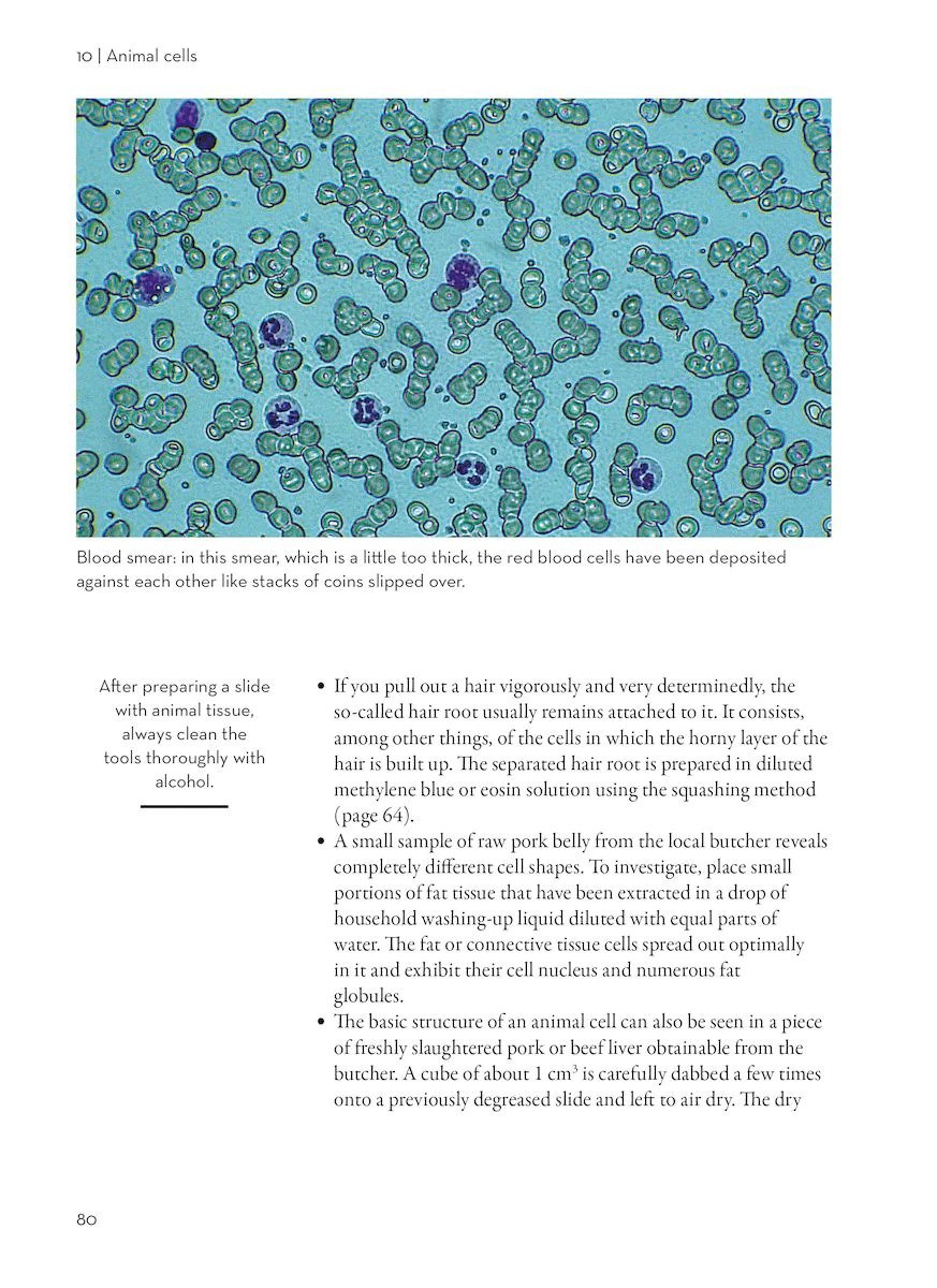 worlds within worlds. an introduction to microscopes