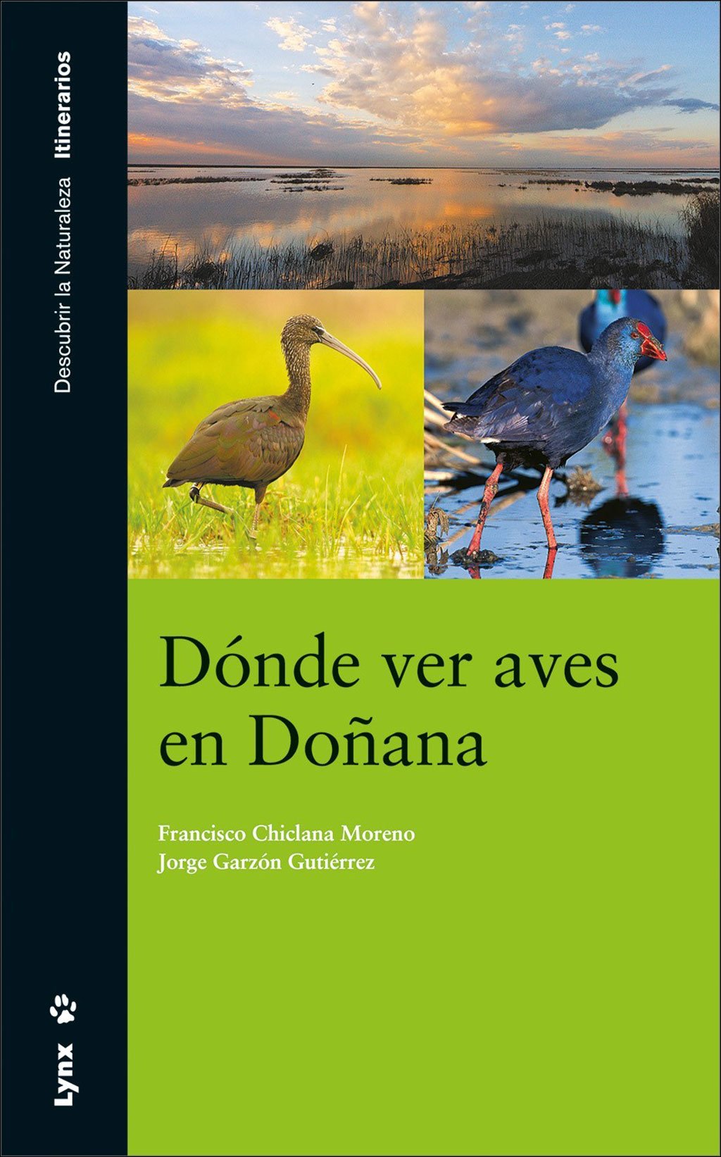 dnde ver aves en doana