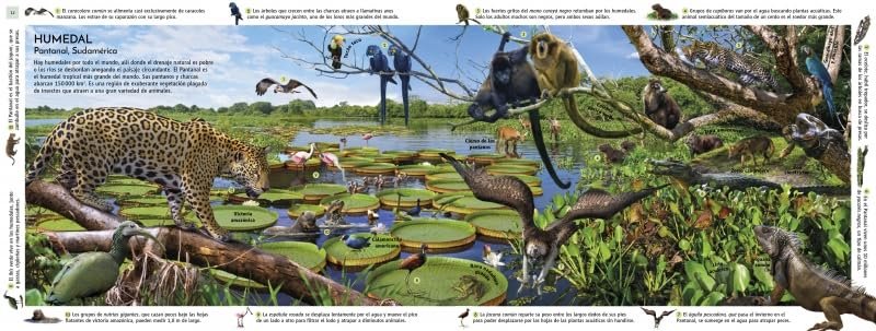 hbitats del mundo. un viaje por los ecosistemas de la tierra