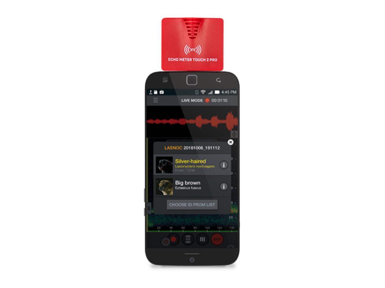 echo meter touch 2 pro usb-c compatible con android e ios para escuchar, grabar e identificar los ultrasonidos de murcilagos