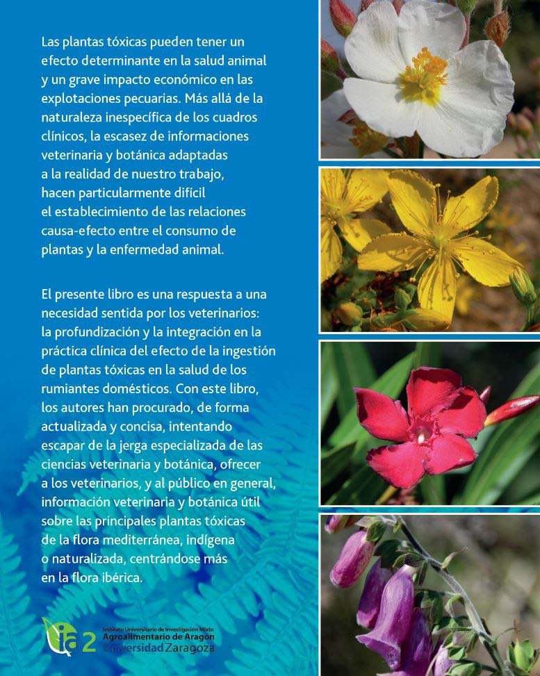 plantas txicas para rumiantes