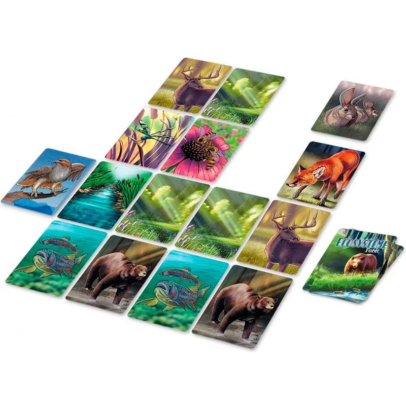 juego ecosystme - fort