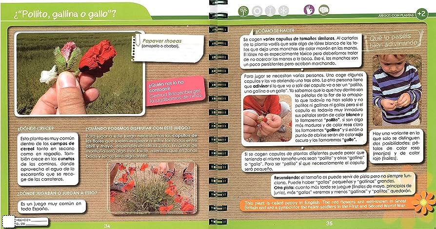 divirtete con las plantas. juegos, plantas musicales y manualidades