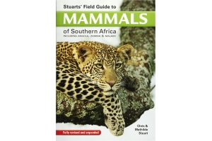 mamfers d'frica