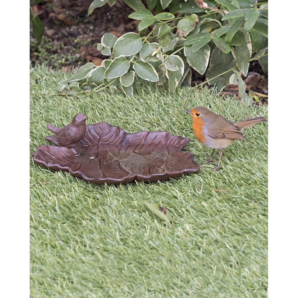 oi-bb comedero-bebedero para aves de jardn