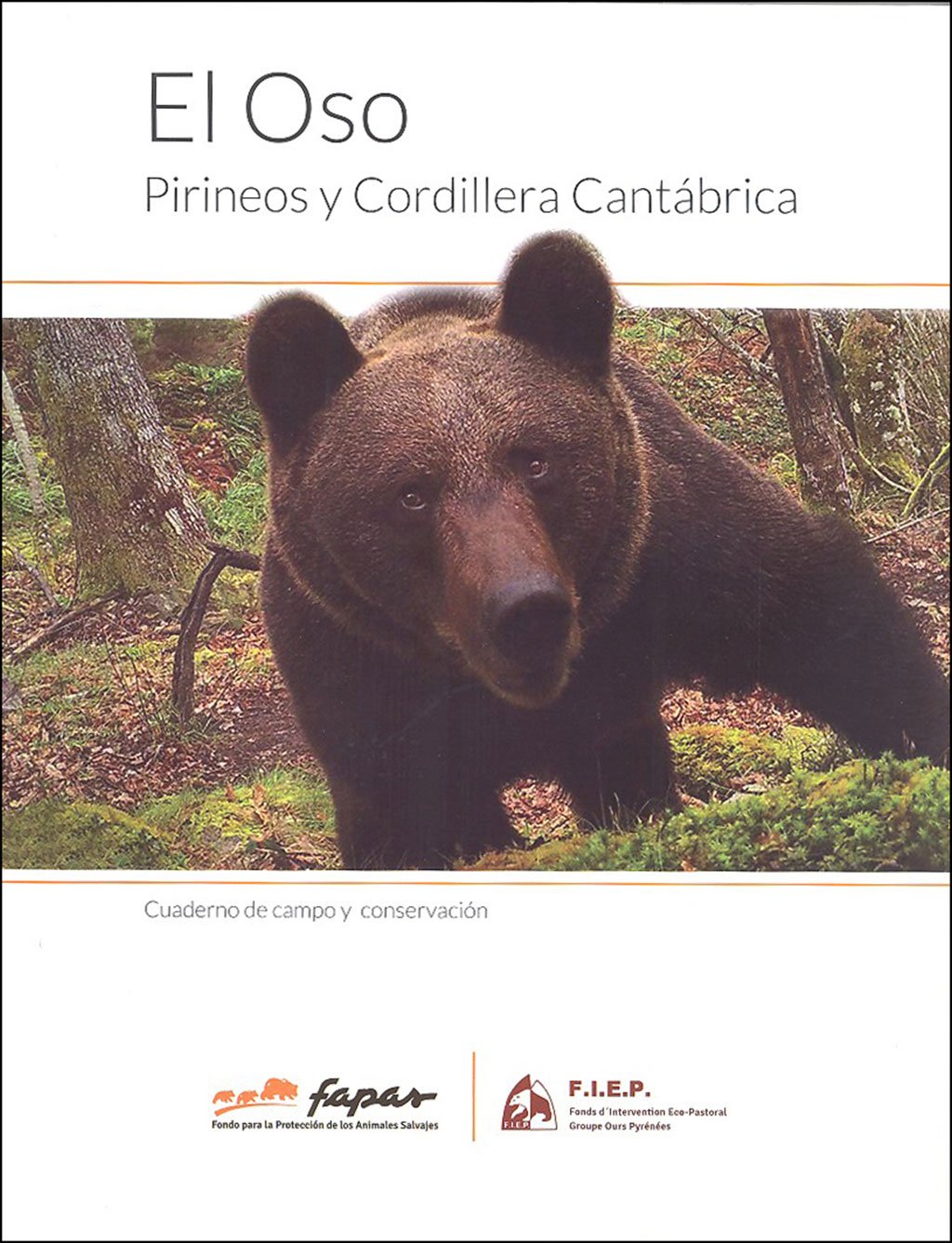 el oso. pirineos y cordillera cantbrica. cuaderno de campo y conservacin