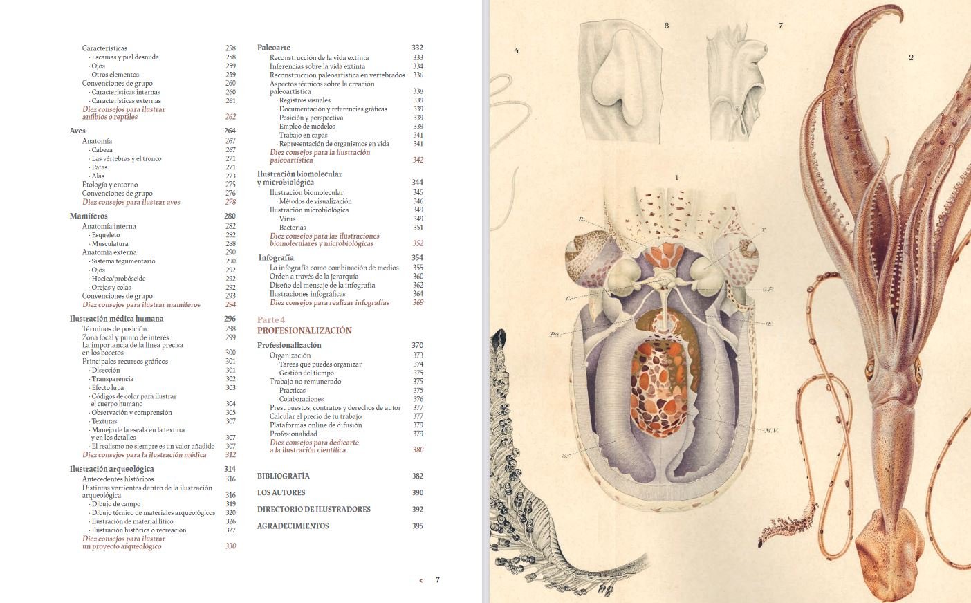 manual de ilustracin cientfica