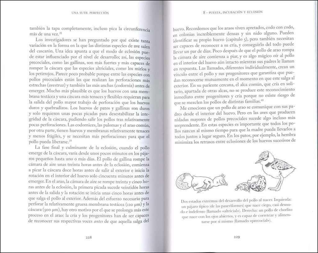 una sutil perfeccin. un viaje por el interior (y el exterior) del huevo de las aves