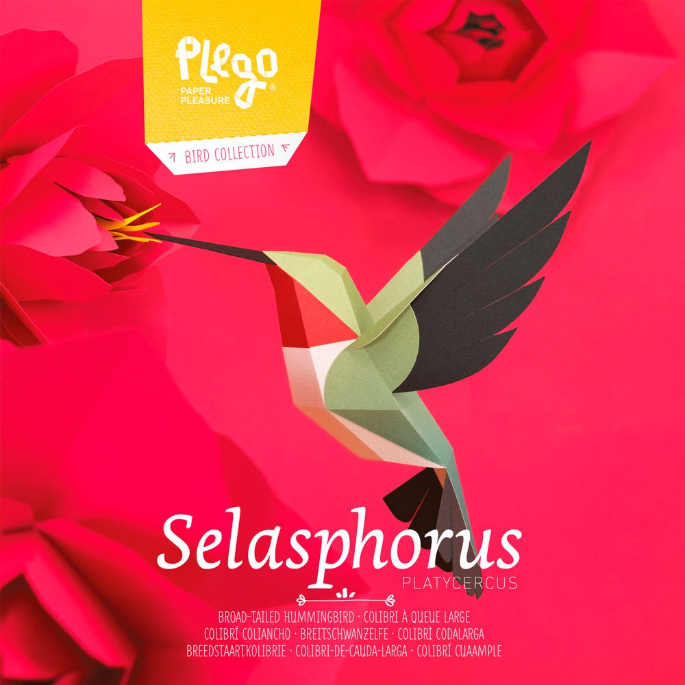 plegopaper- figura recortable de colibr