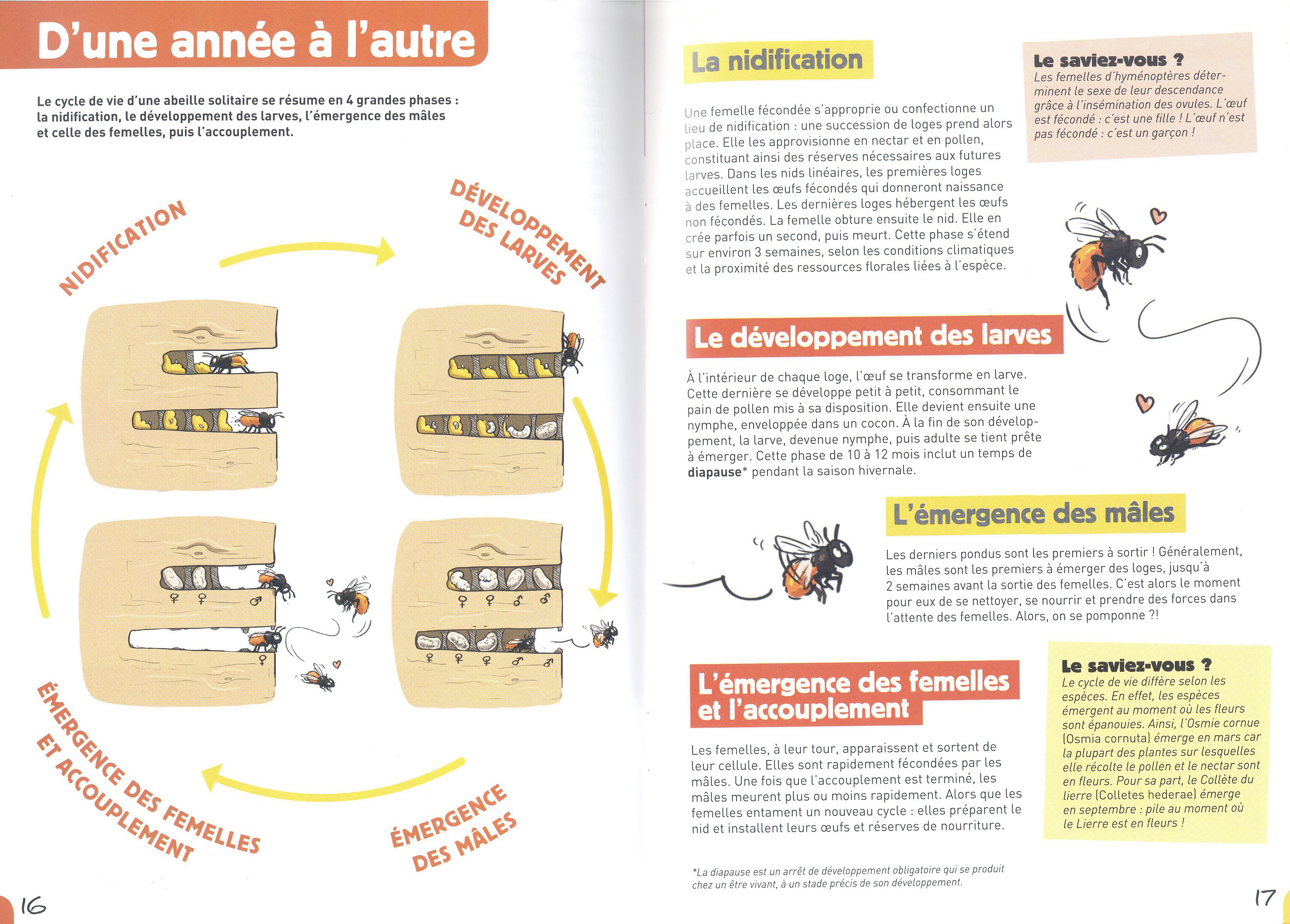  la rencontre des abeilles solitaires