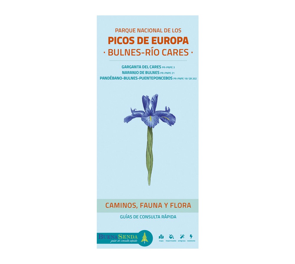 parque nacional de los picos de europa. bulnes-ro cares. caminos, fauna y flora. guas de consulta rpida