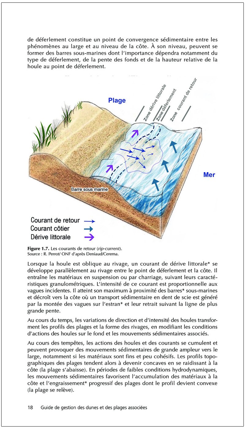 guide de gestion des dunes et des plages associes