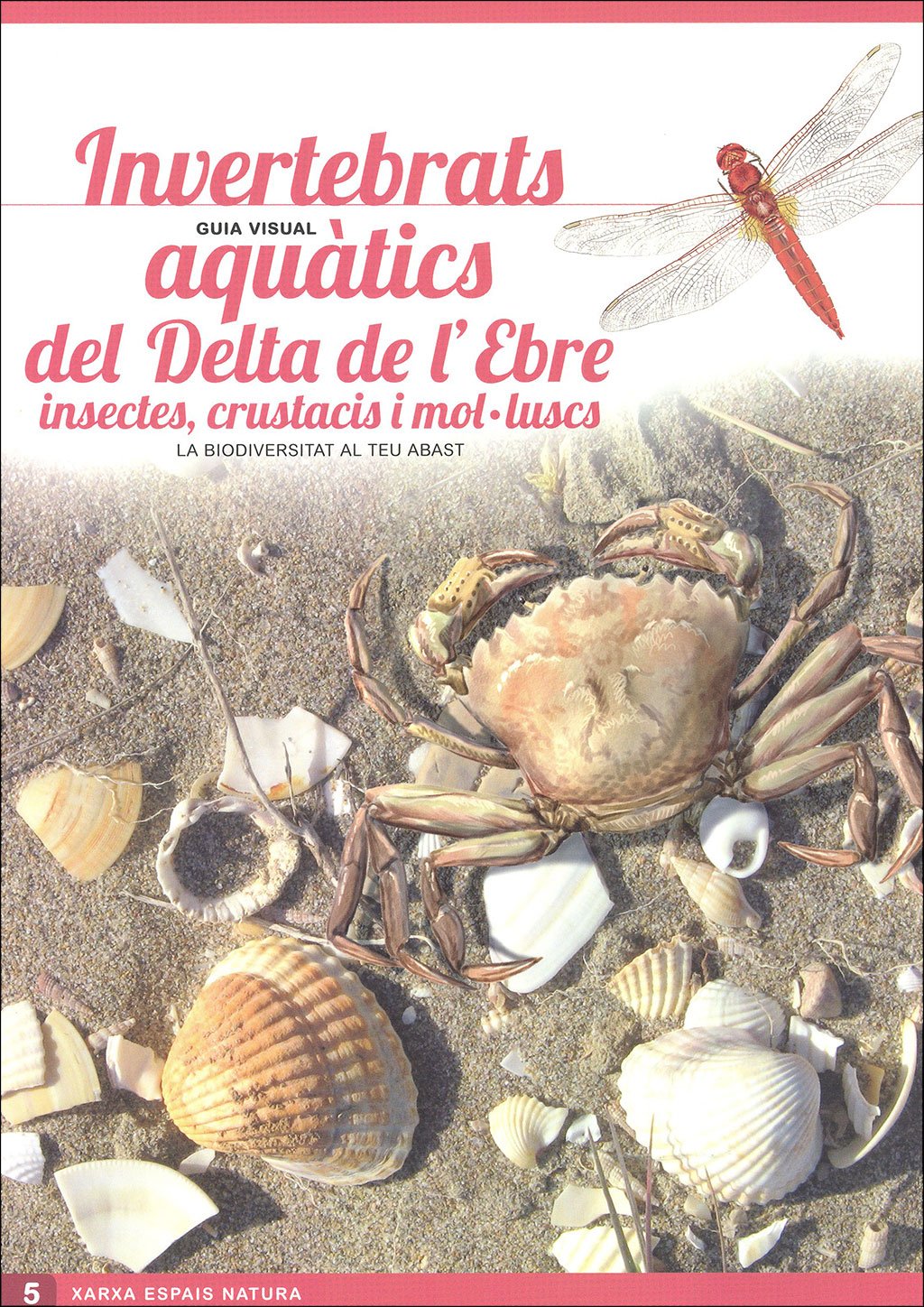 ocells del delta de l'ebre. guia visual (sis desplegables de diferent temtica)