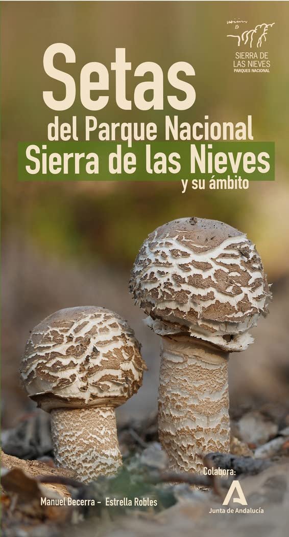 setas del parque natural sierra de las nieves y su mbito