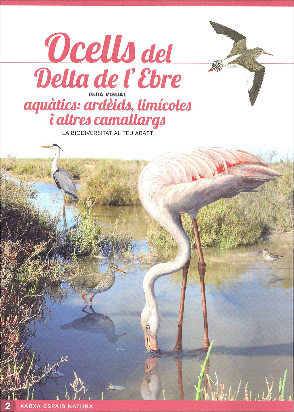 ocells del delta de l'ebre. guia visual (sis desplegables de diferent temtica)