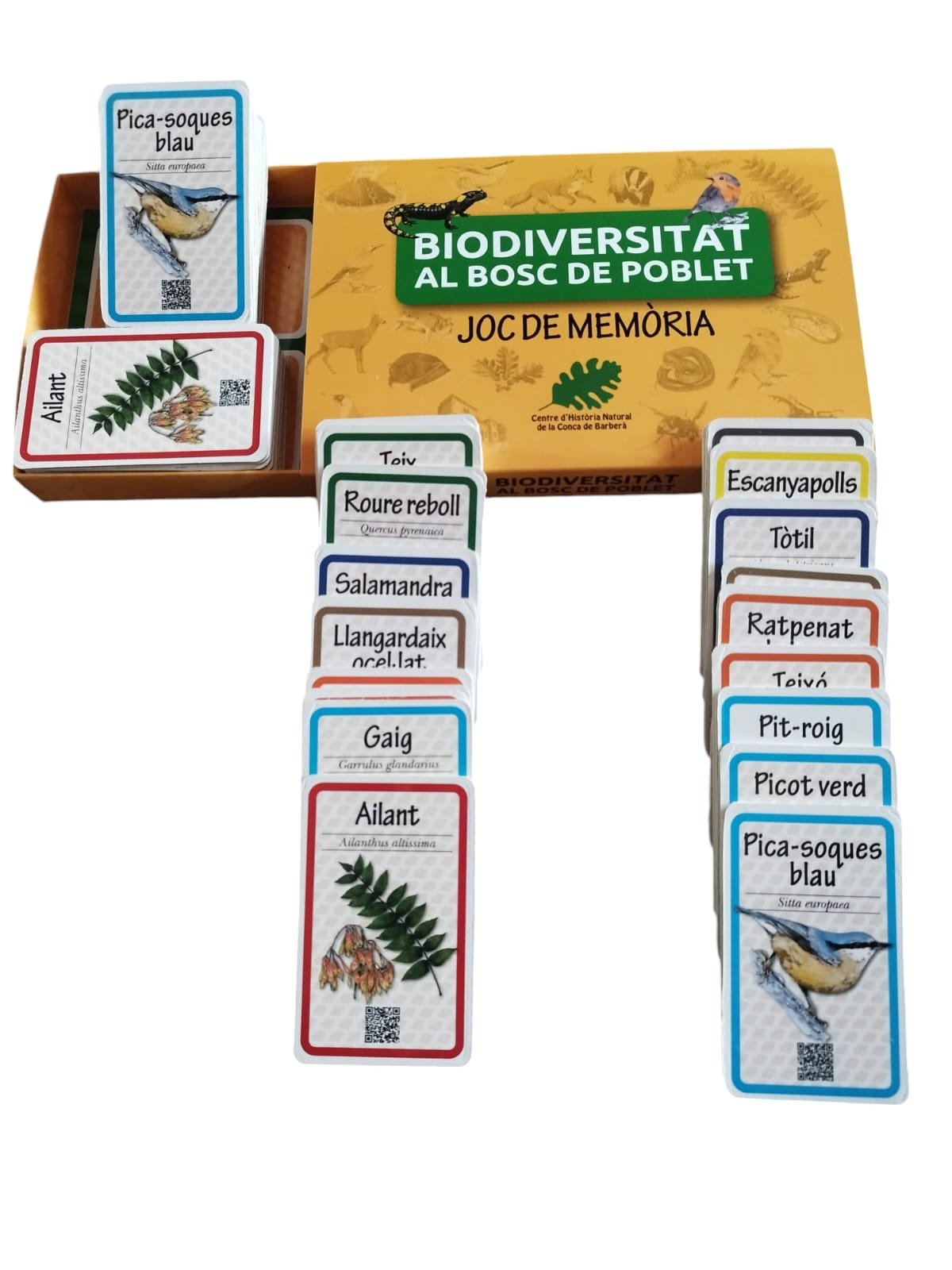 joc de memria biodiversitat al bosc de poblet