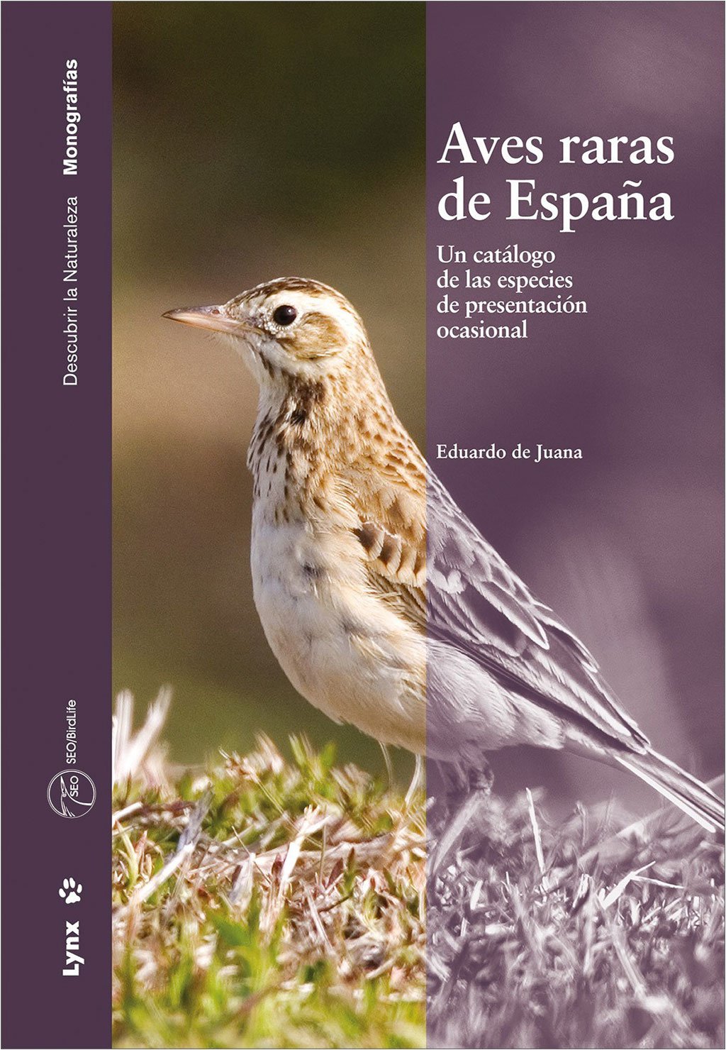 aves raras de espaa. un catlogo de especies de presentacin ocasional