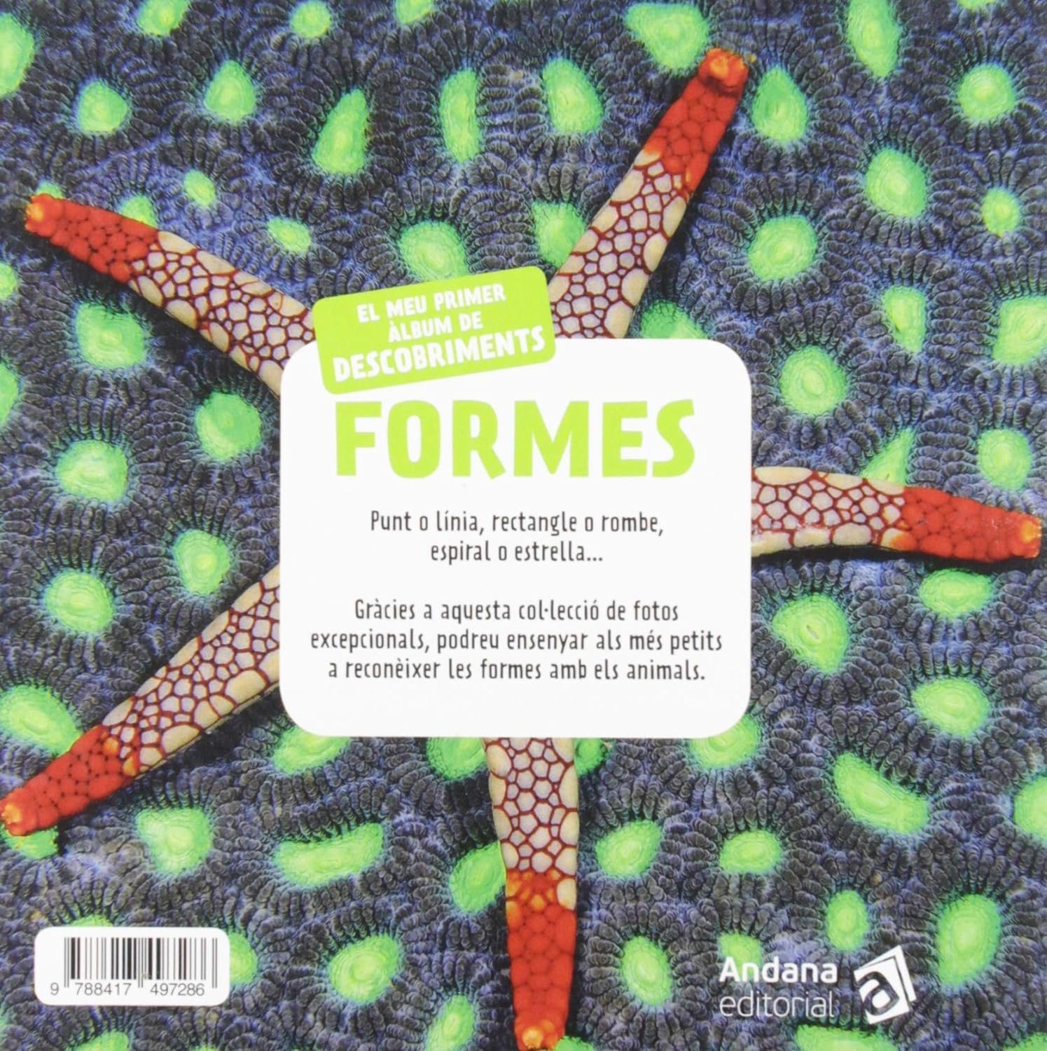 formes. el meu primer lbum de descobriments