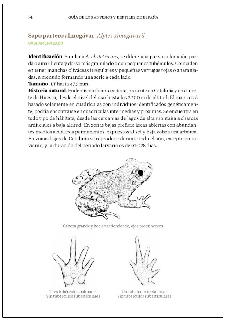 gua de los anfibios y reptiles de espaa - tapa dura