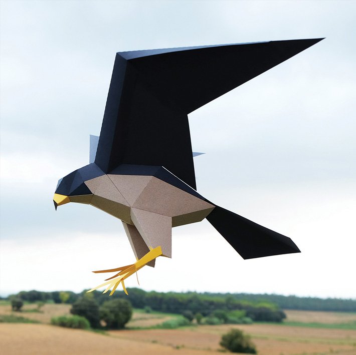 plegopaper- figura recortable de halcn peregrino (falc pelegr)
