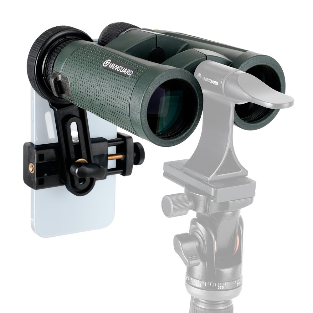 kit vanguard de prismtico veo hd 8x42 y accesorios