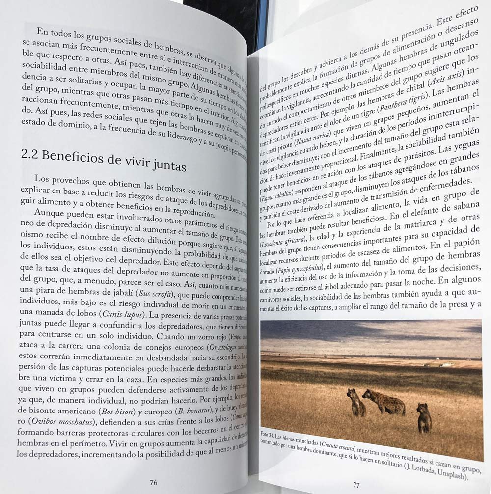 comportamiento social de los mamferos