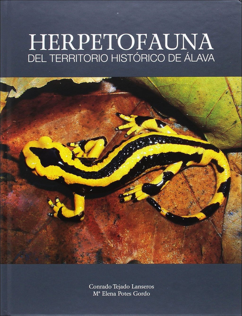 herpetofauna del territorio histrico de lava