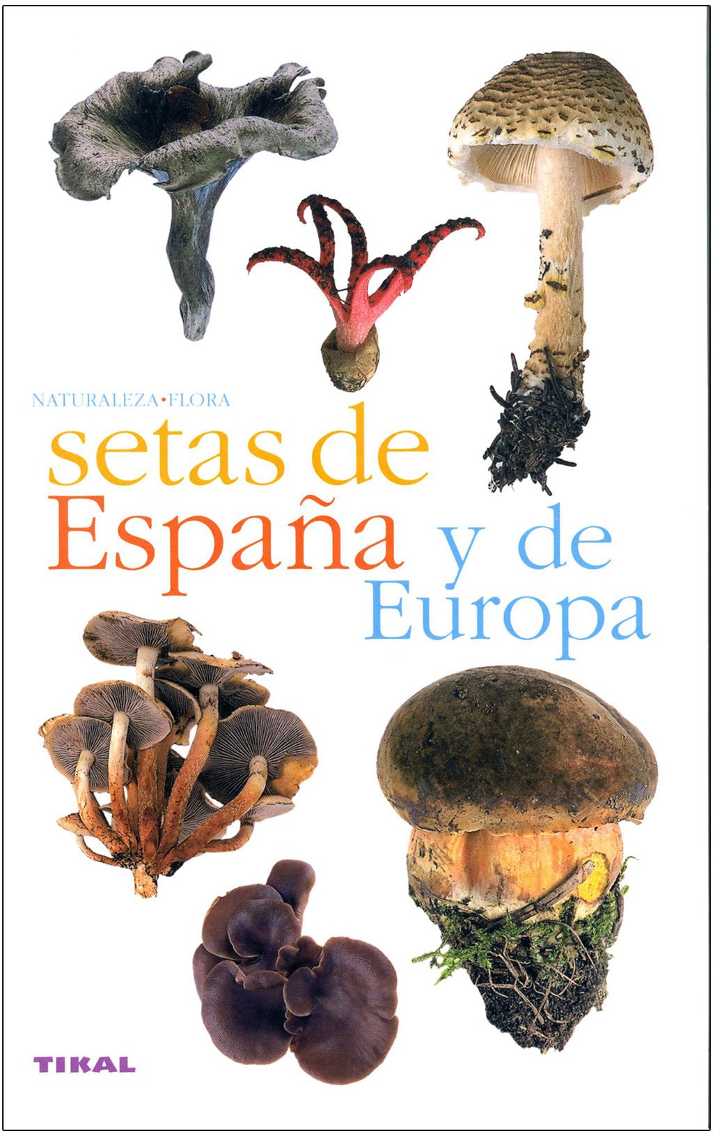 setas de espaa y de europa