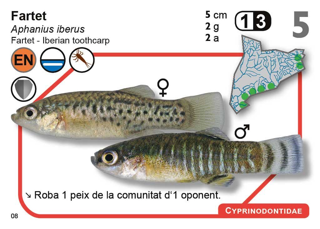 joc de cartes ictio. descobreix l'increble mn dels peixos continentals de catalunya
