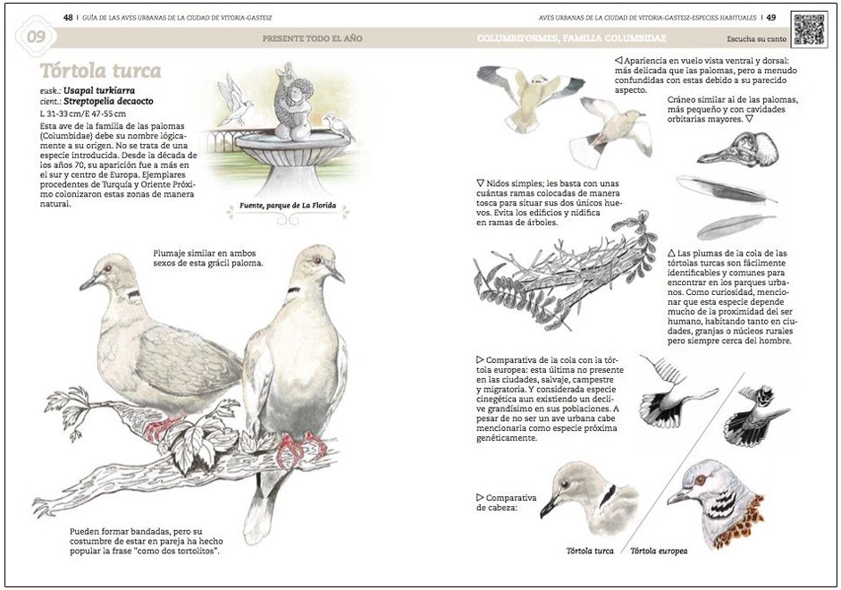 gua de aves urbanas de la ciudad de vitoria-gasteiz
