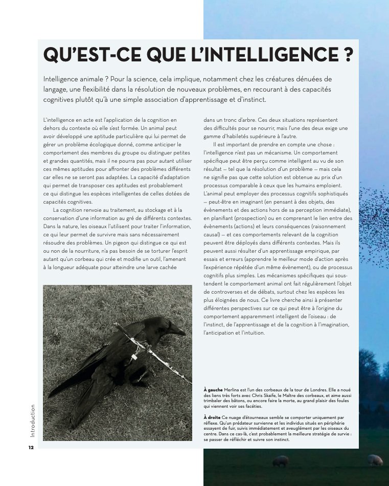 l'tonnante intelligence des oiseaux