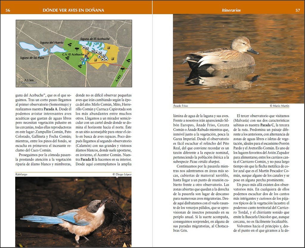 dnde ver aves en doana