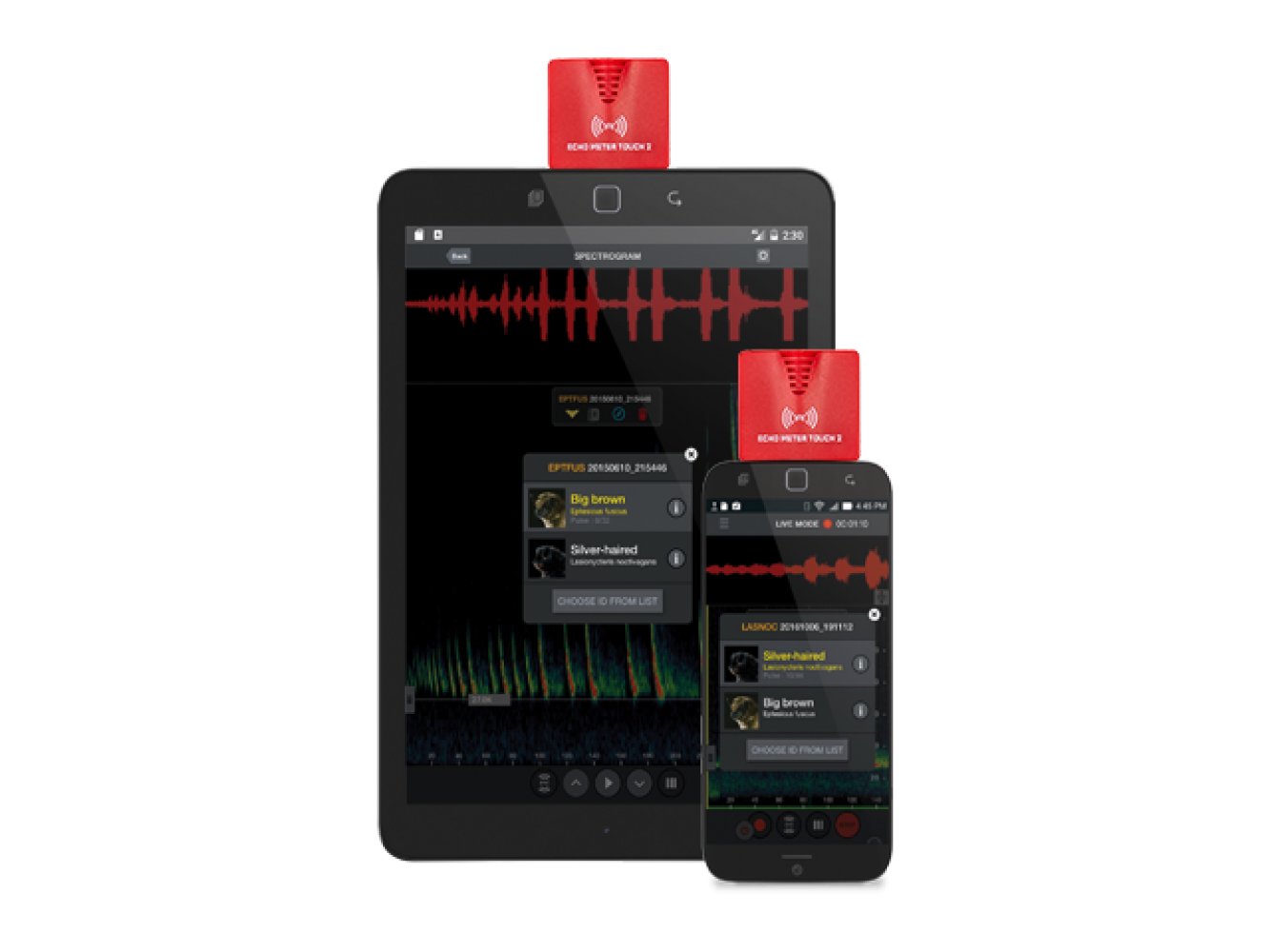 echo meter touch 2 usb-c compatible con android e ios para escuchar, grabar e identificar los ultrasonidos de murcilagos